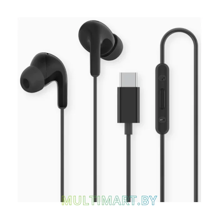 Наушники Xiaomi Type-C Earphones M2413E1 (черный, международная версия)